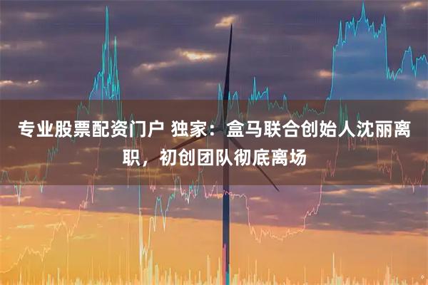 专业股票配资门户 独家：盒马联合创始人沈丽离职，初创团队彻底离场